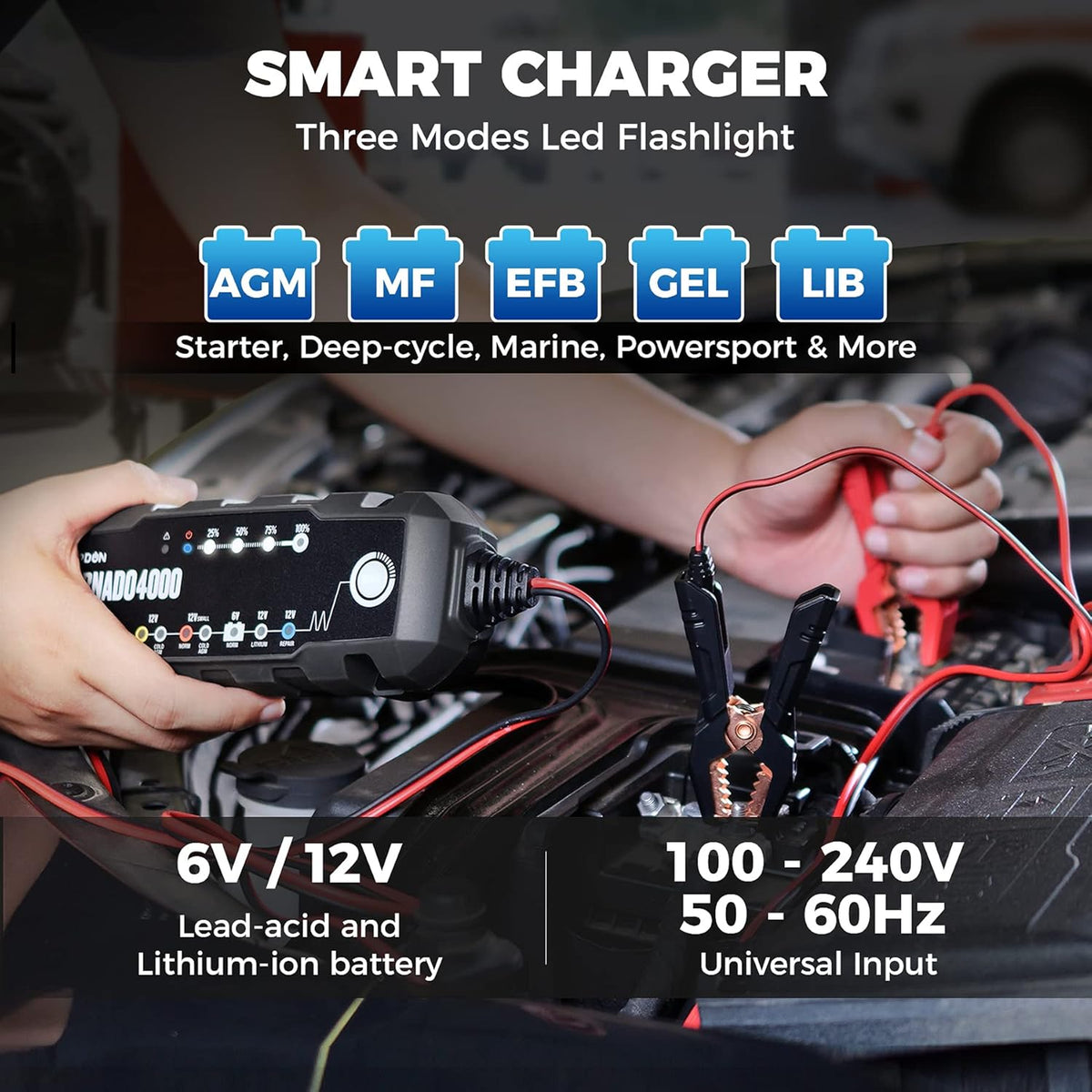 4A/1A 6V/12V Smart Battery Maintainer Desulfator for Lead-Acid/Lithium ion Batteries, Pack of 2 J619