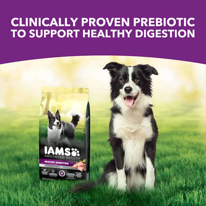 Healthy Digestion Dry Dog Food with Real Chicken P7529