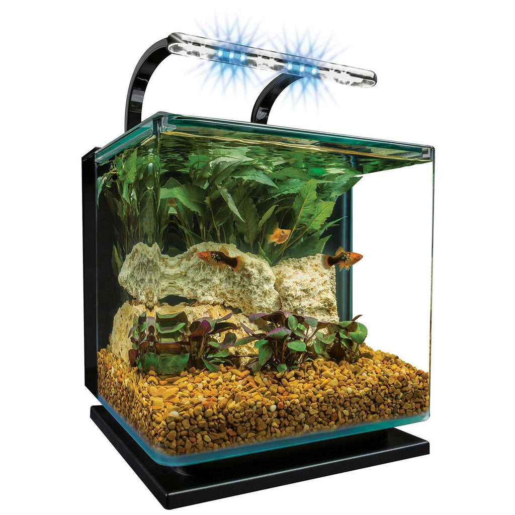 5 Gallon Kit M9970