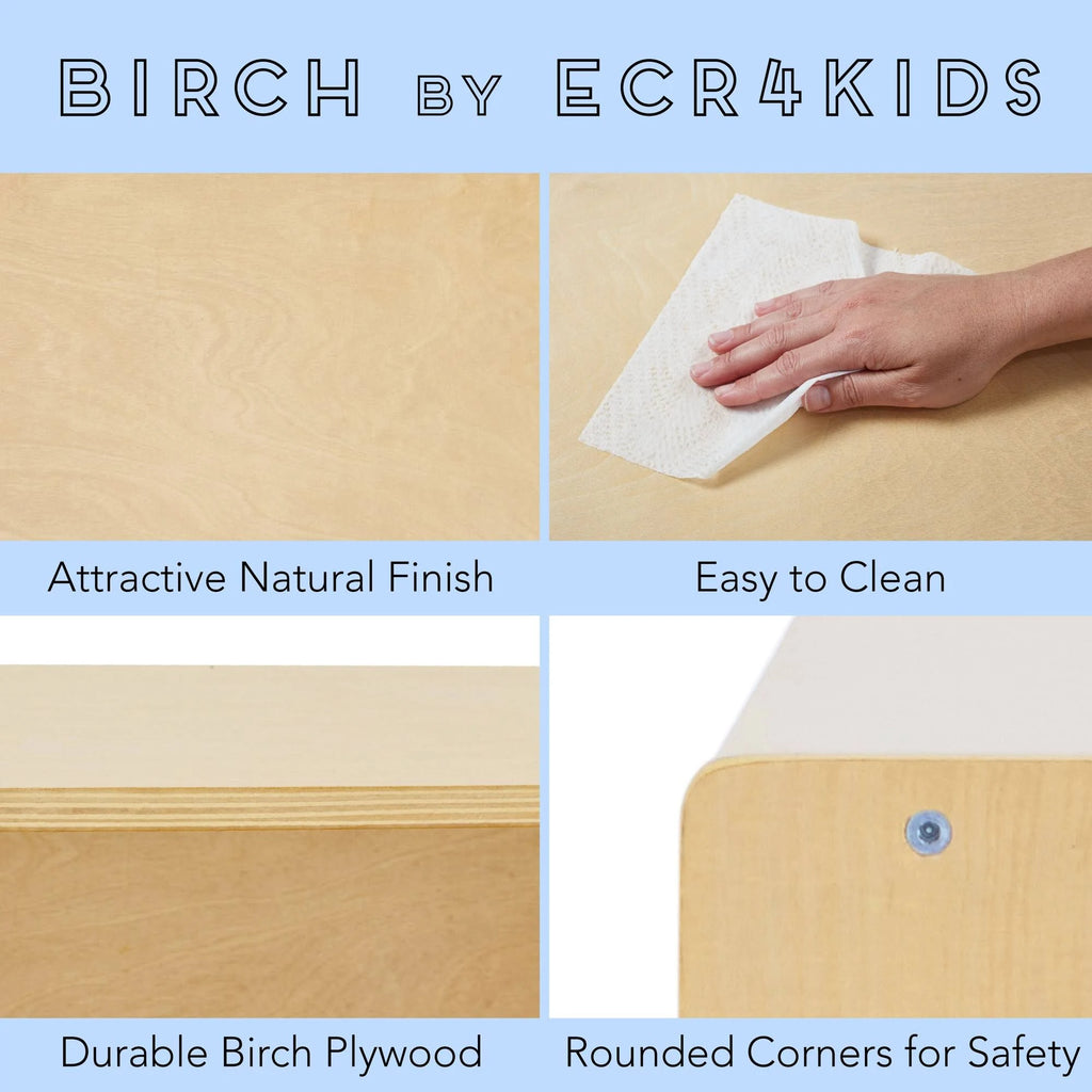 Birch Bookcase L8560