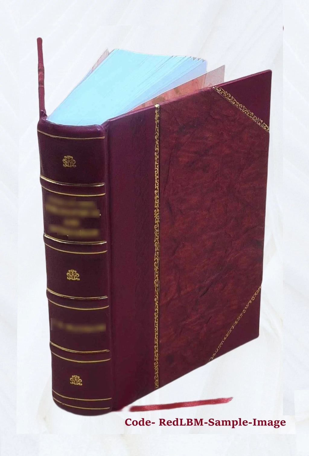 Leather Bound Book J80243
