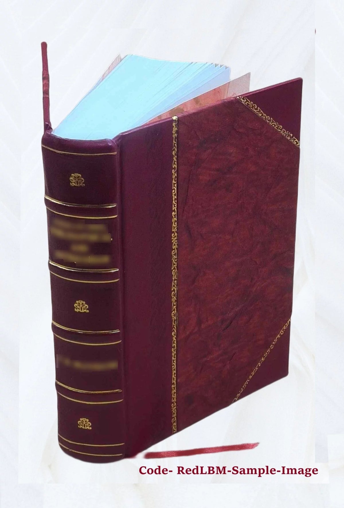 Leather Bound Book J80243
