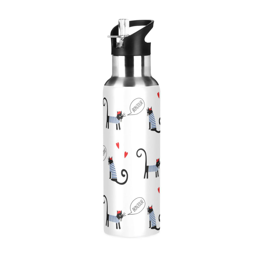 Stainless Steel Insulated Water Bottle with Straw Lid A776