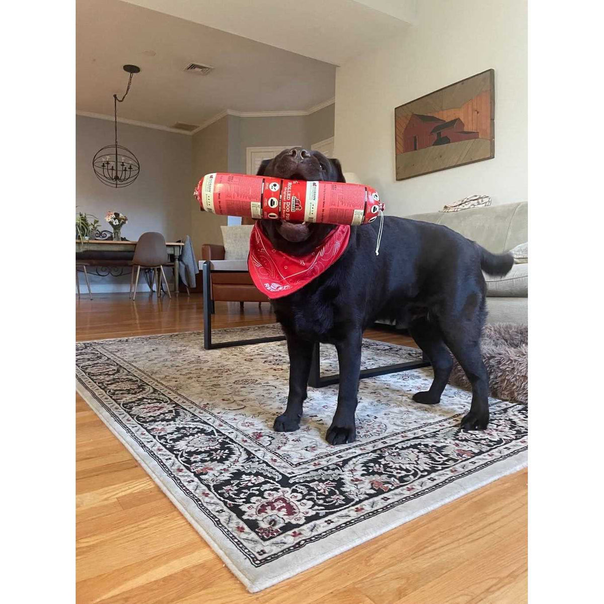 Dog Food Roll Beef E77798