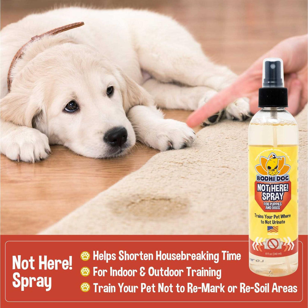 Dog Training Spray Q564770