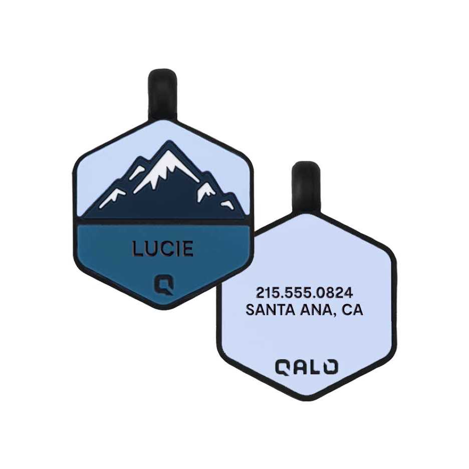Silicone Dog ID Tag N1524