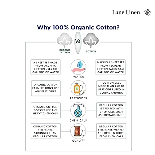 100% Organic Cotton Queen Size White Sheets 8 Pc K332