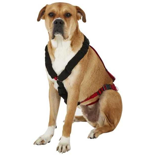 One Harness C2051