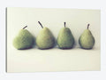Canvas Prints G286164