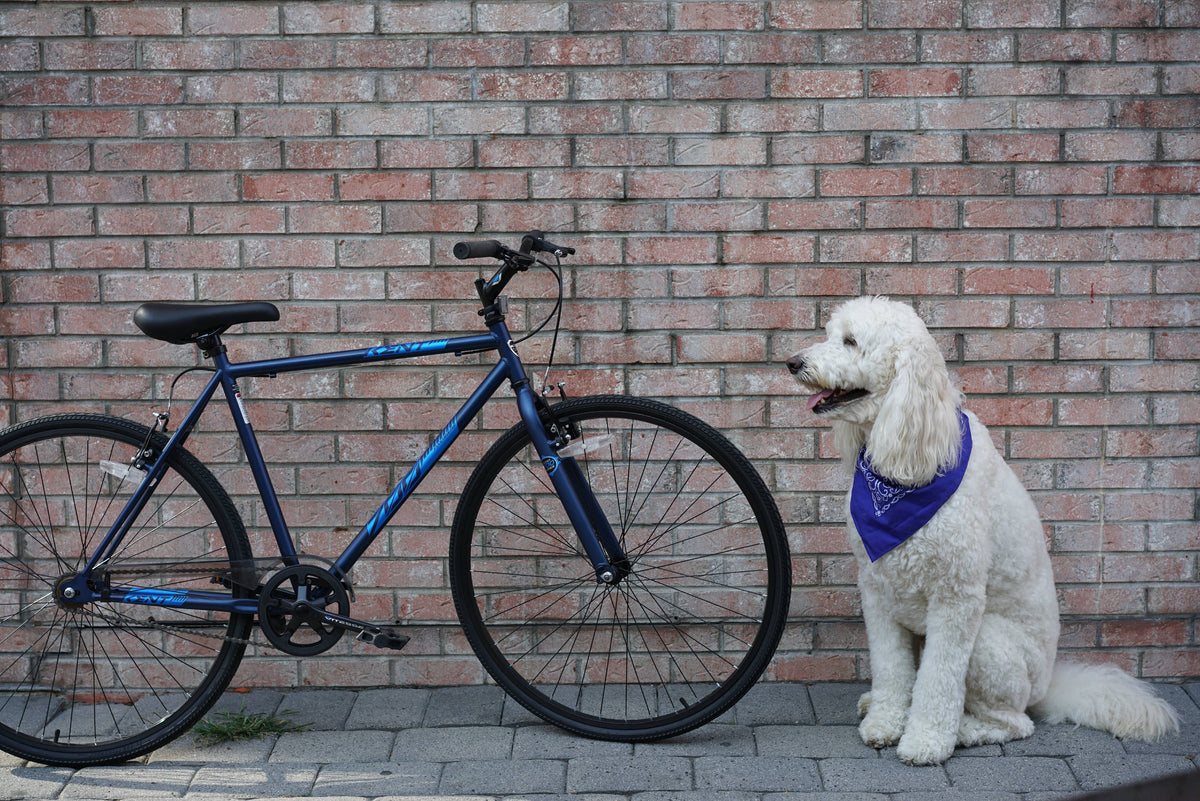 Blue 700c Fixie Bike S648