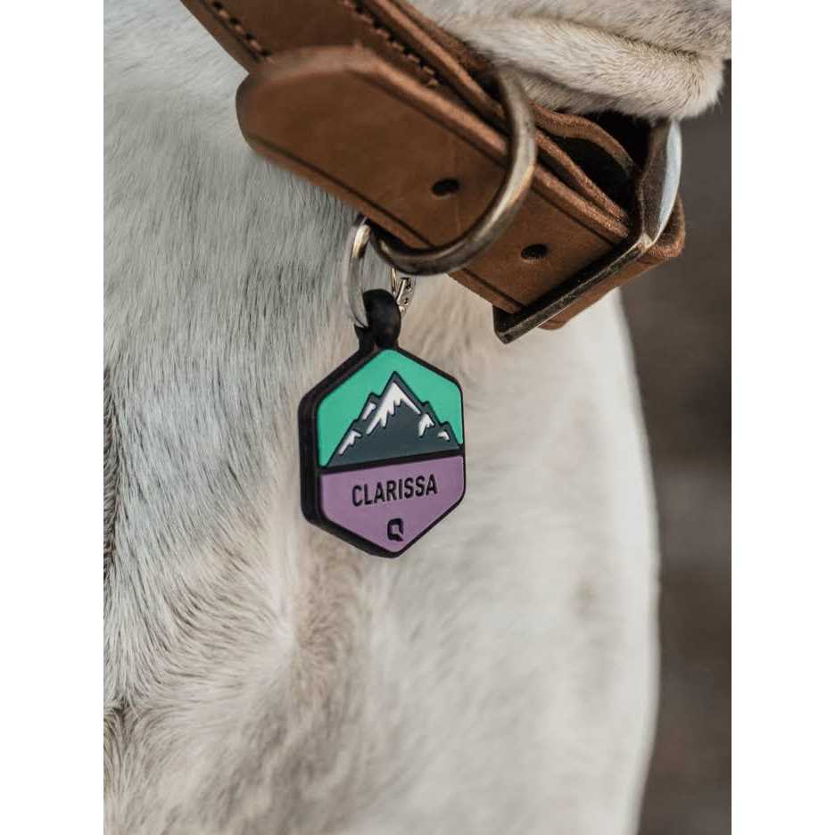 Silicone Dog ID Tag N1524