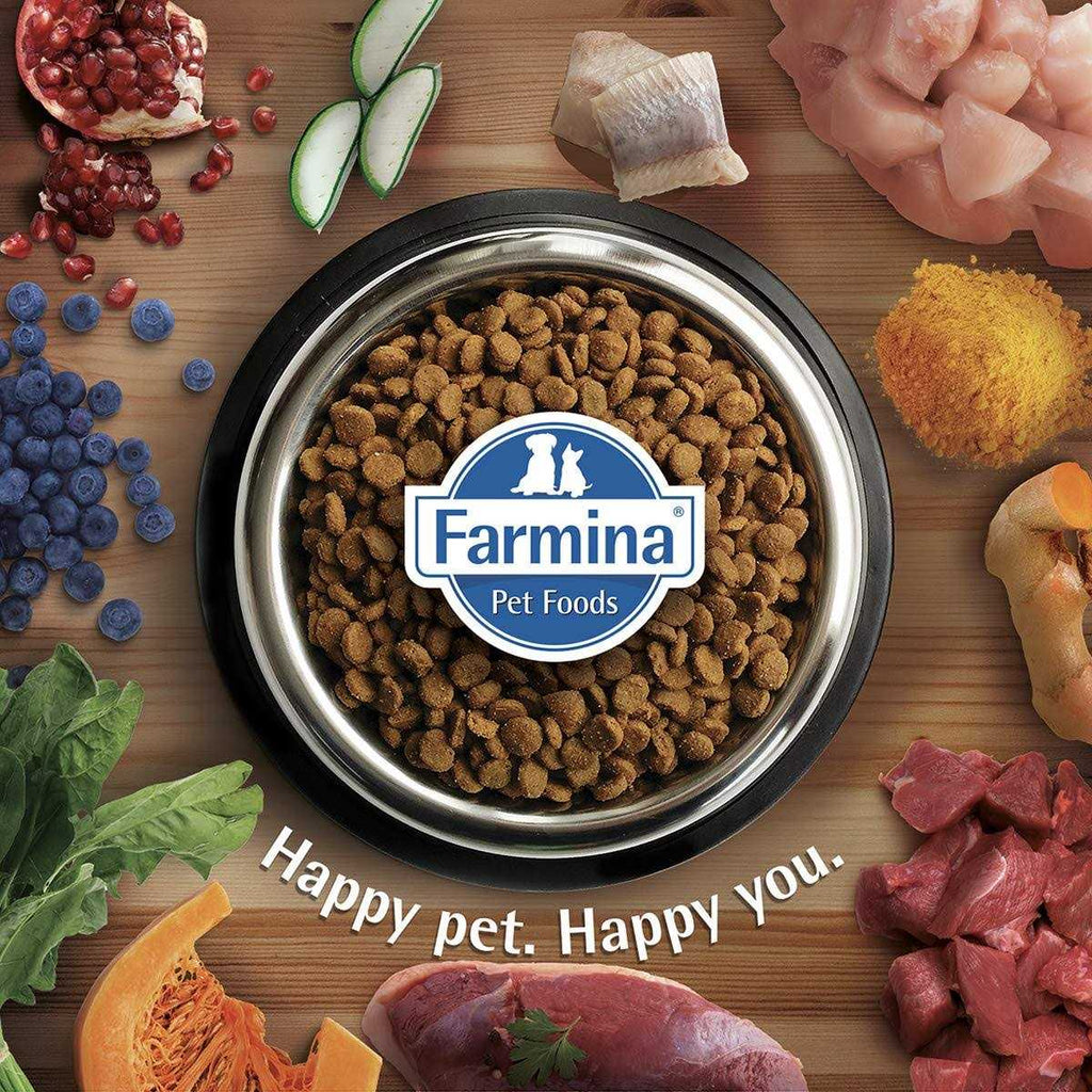 Quail Dog Food D387