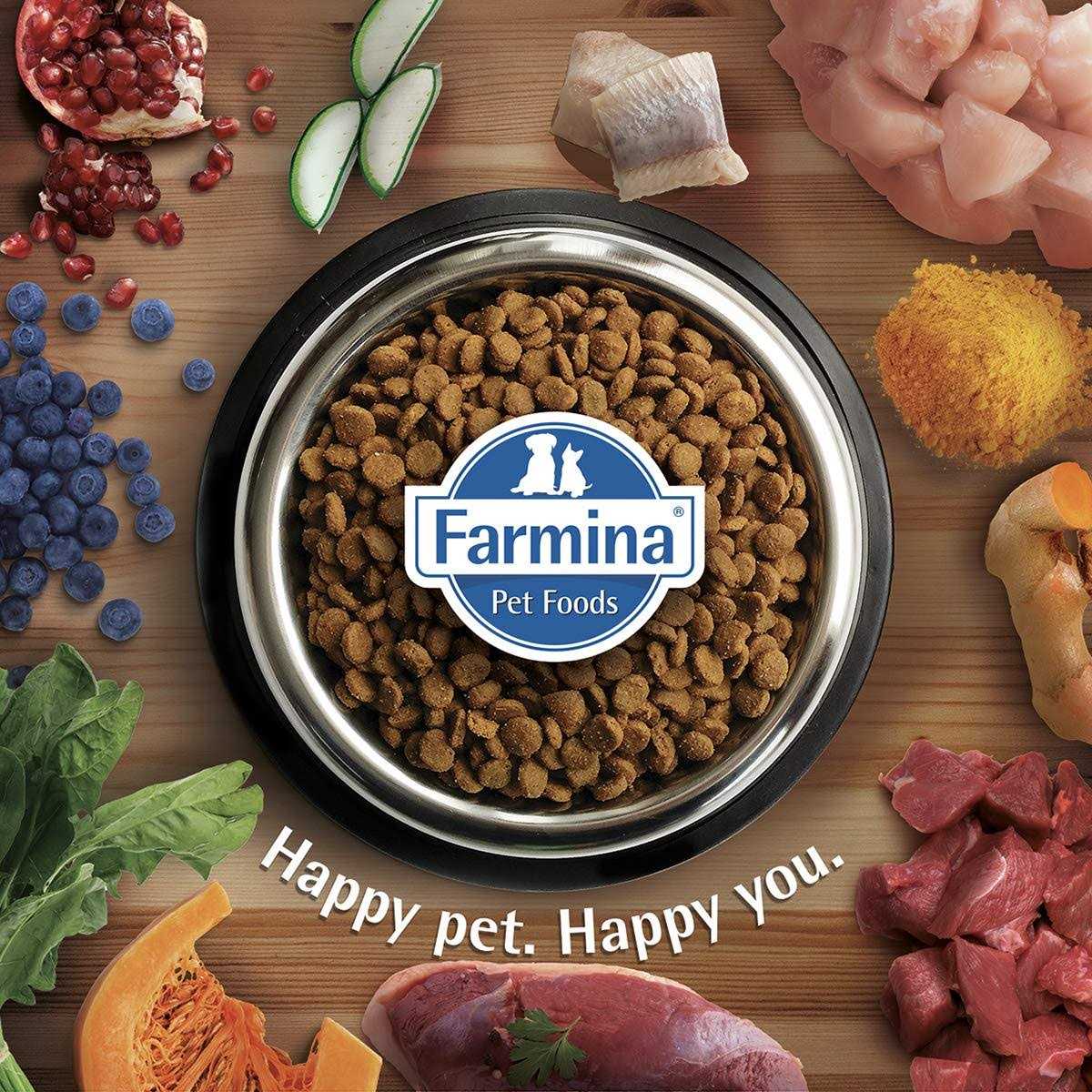 Quail Dog Food D387