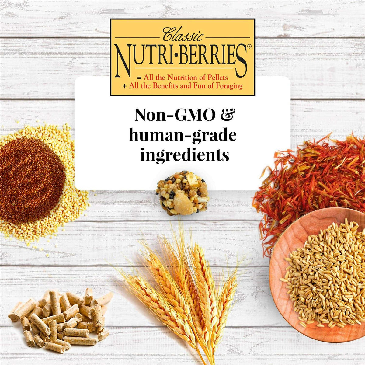Nutri Berries Food A51226