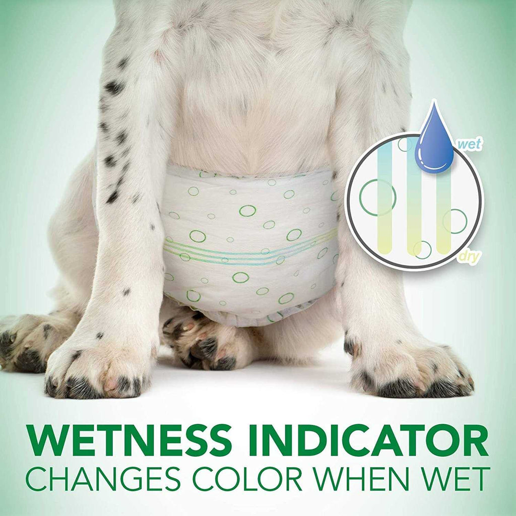 Disposable Male Dog Wraps W237154