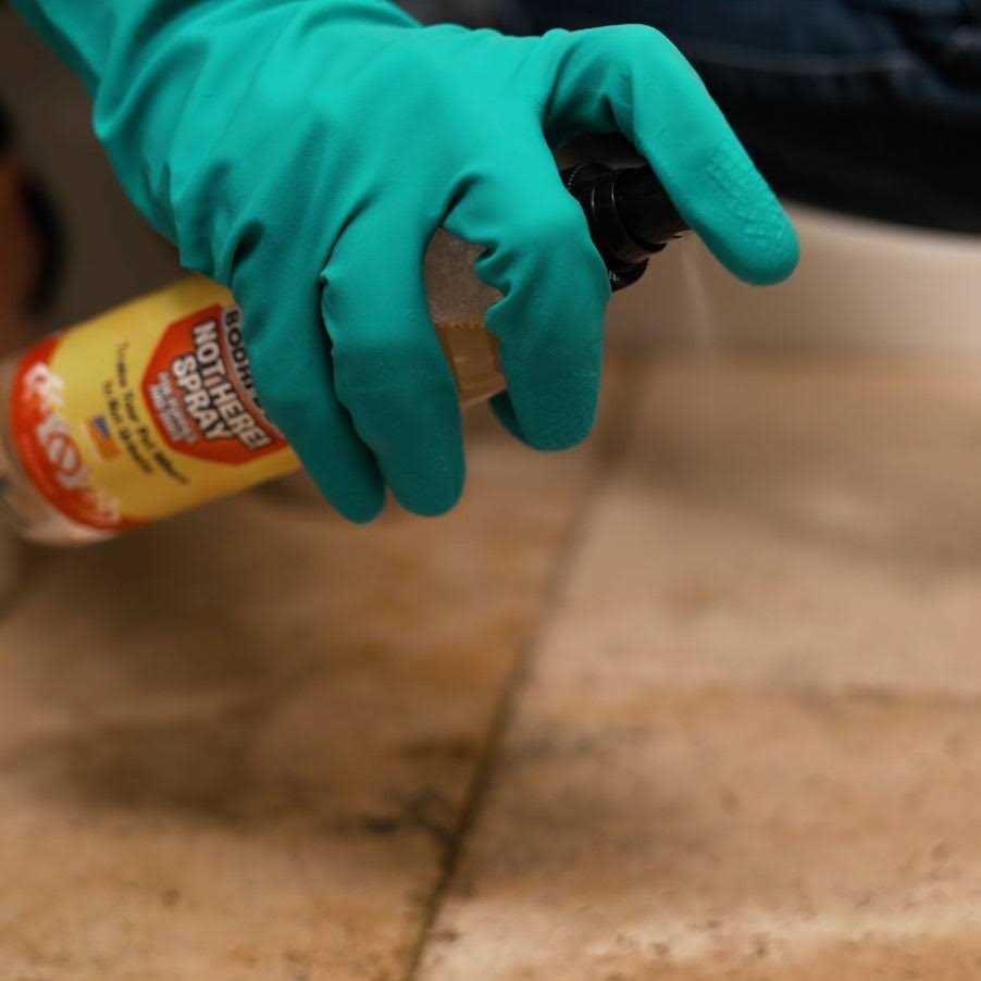 Dog Training Spray Q564770