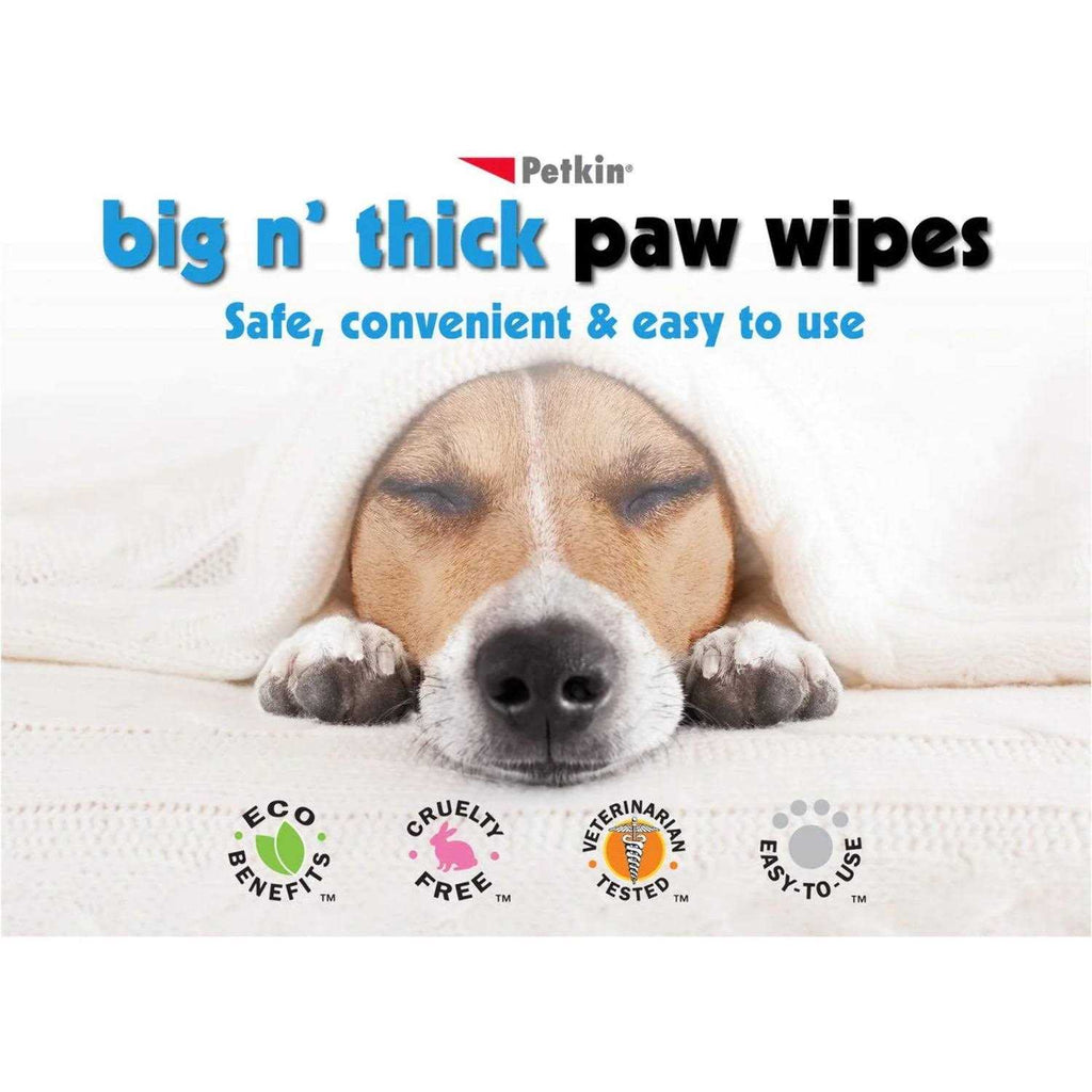 Pet Wipes 100 Z375
