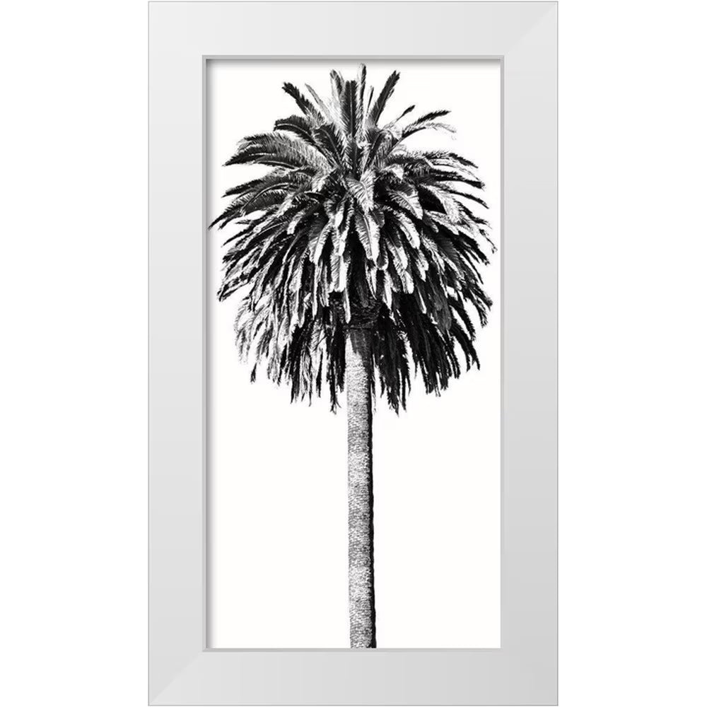 White 18x32 Wood Framed Museum Art Print Y130