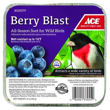 Beef Suet 11 oz F7284