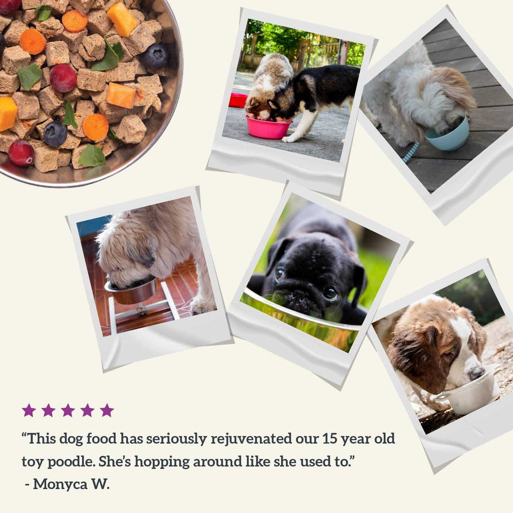 Air Dried Beef Recipe Dog Food O6571
