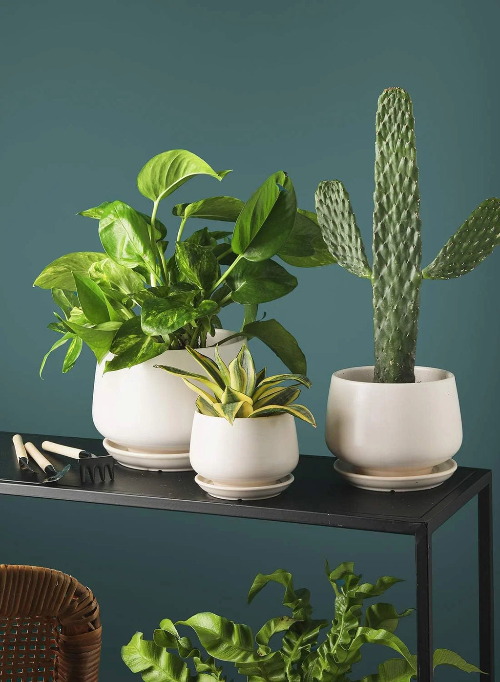 4.1+5.1+6.5 Inch Ceramic Plant Pots with Drainage Hole and Saucer, Set of 3, White R9911