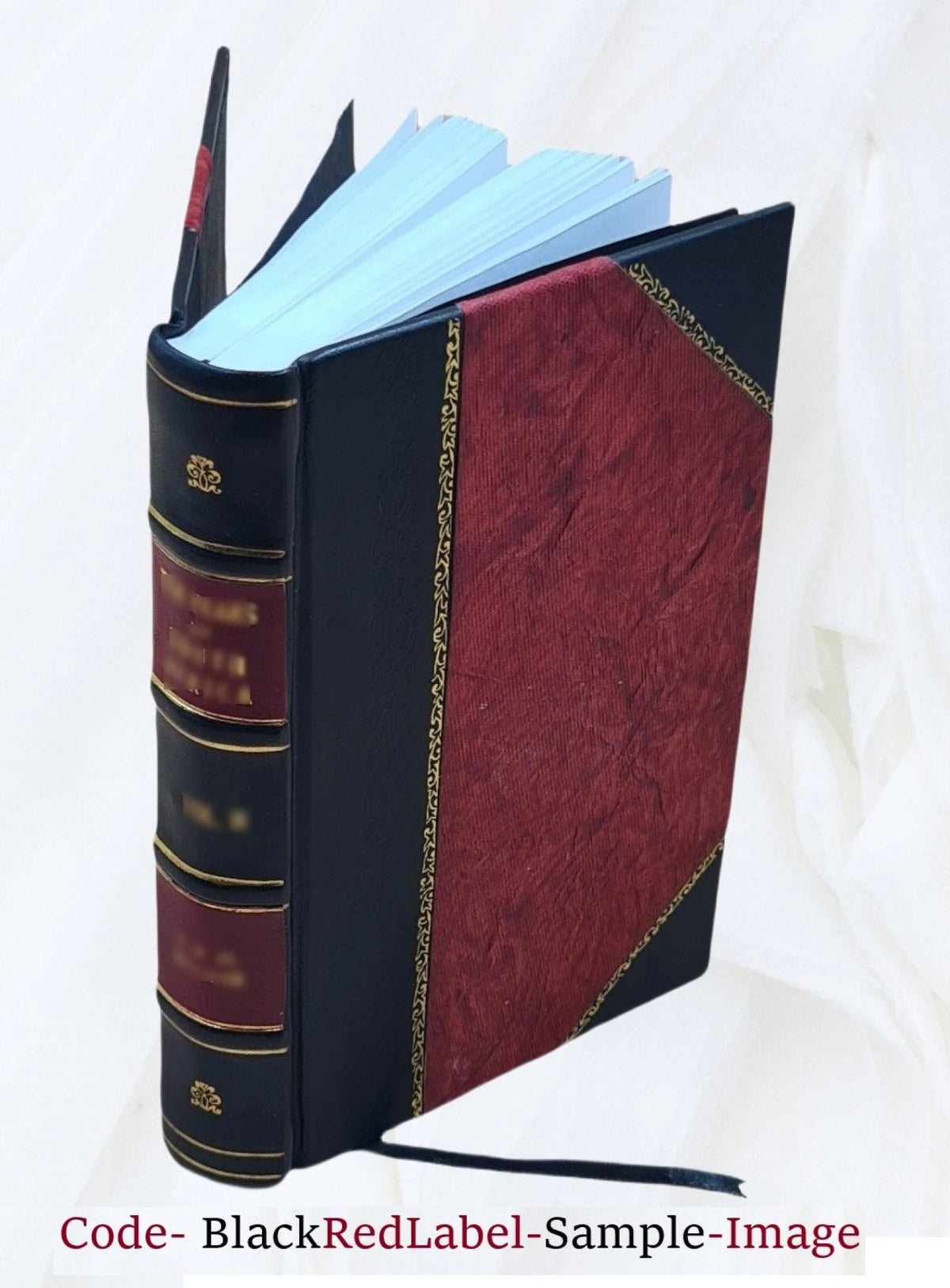 Novel R939