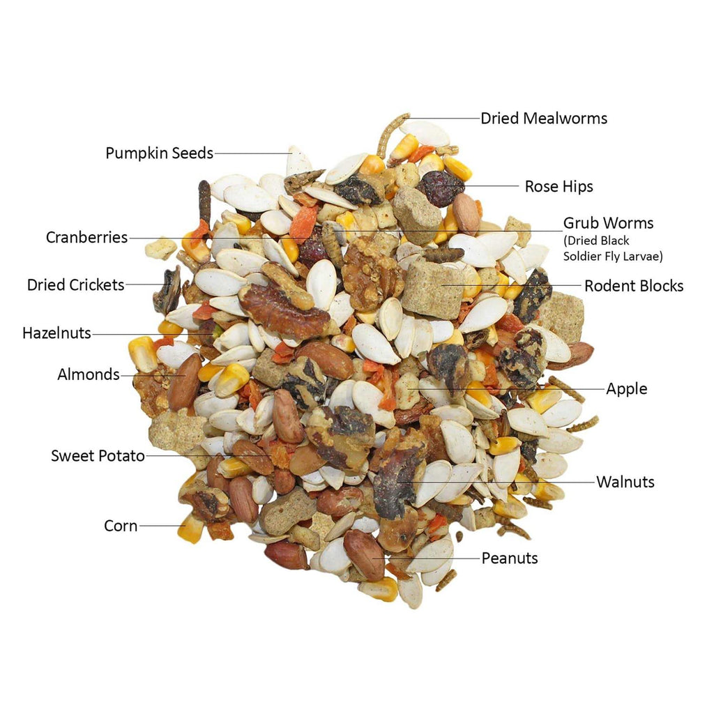 Squirrel Food Starter Package Y788