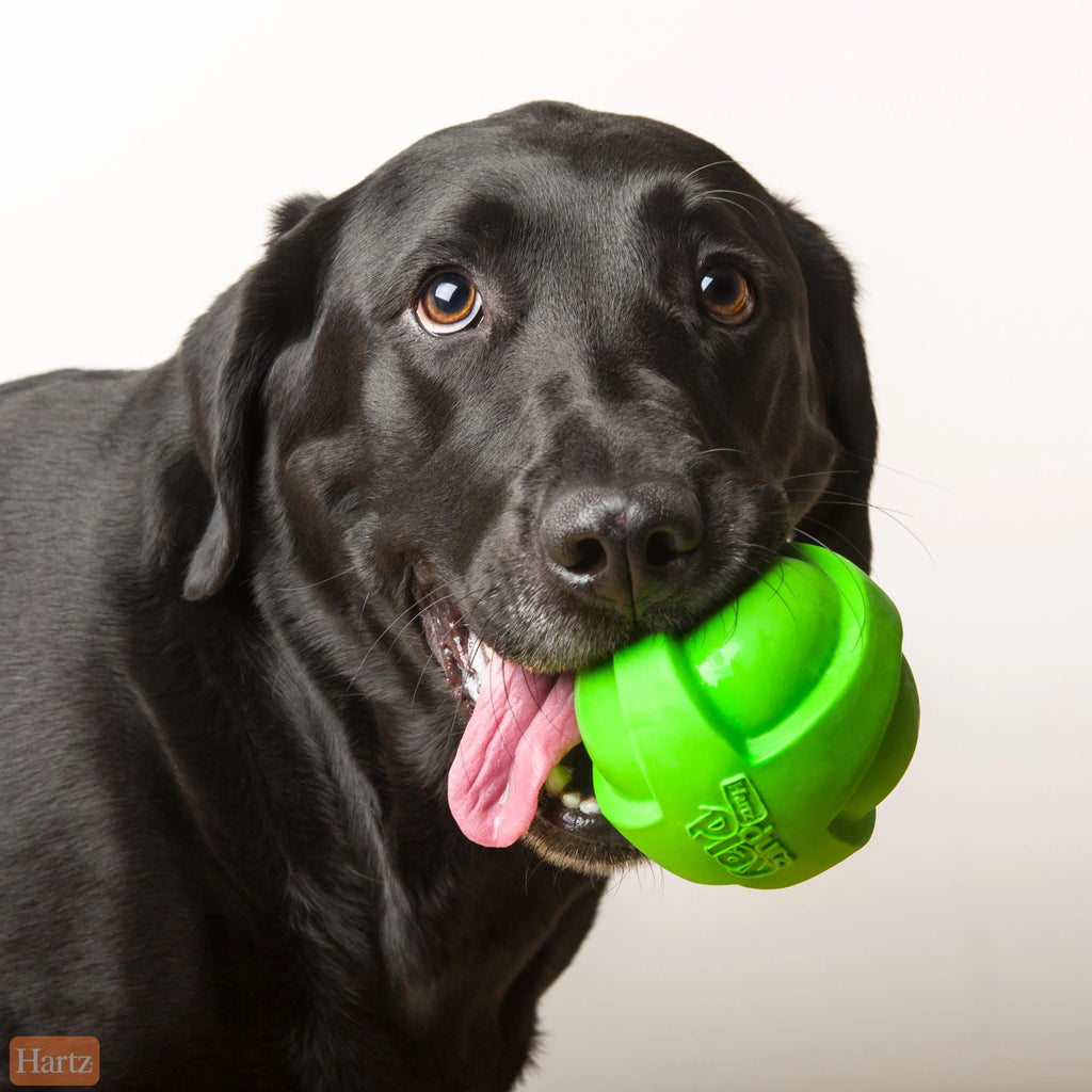 Large Dog Toy Ball R5461
