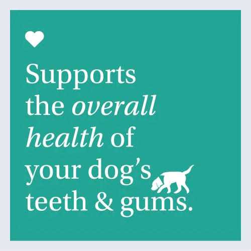 Dog Dental Formula G34960