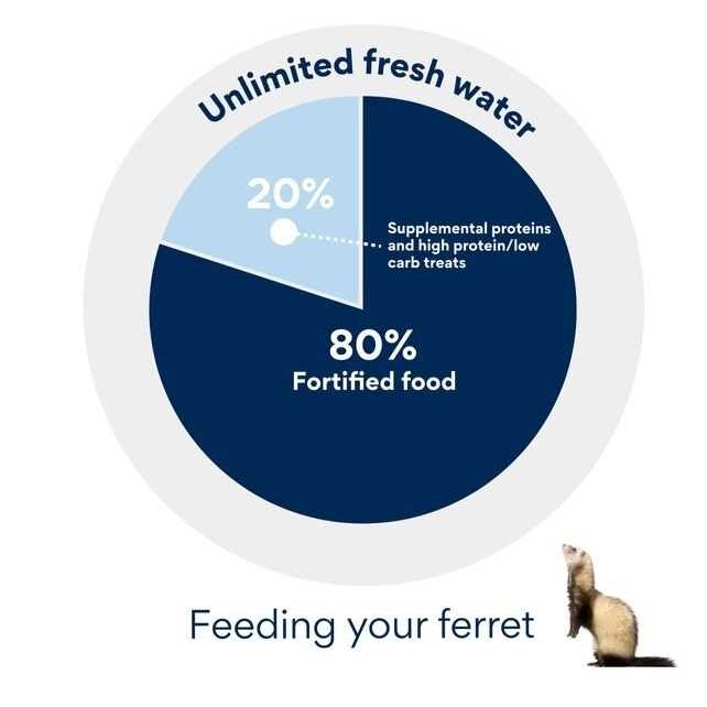Ferret Formula Pet Supplies N65663