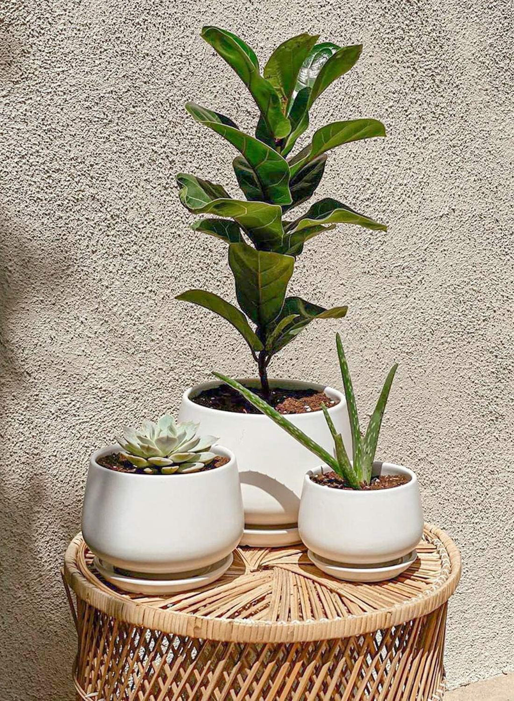 4.1+5.1+6.5 Inch Ceramic Plant Pots with Drainage Hole and Saucer, Set of 3, White R9911