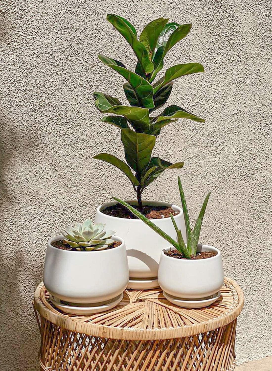4.1+5.1+6.5 Inch Ceramic Plant Pots with Drainage Hole and Saucer, Set of 3, White R9911