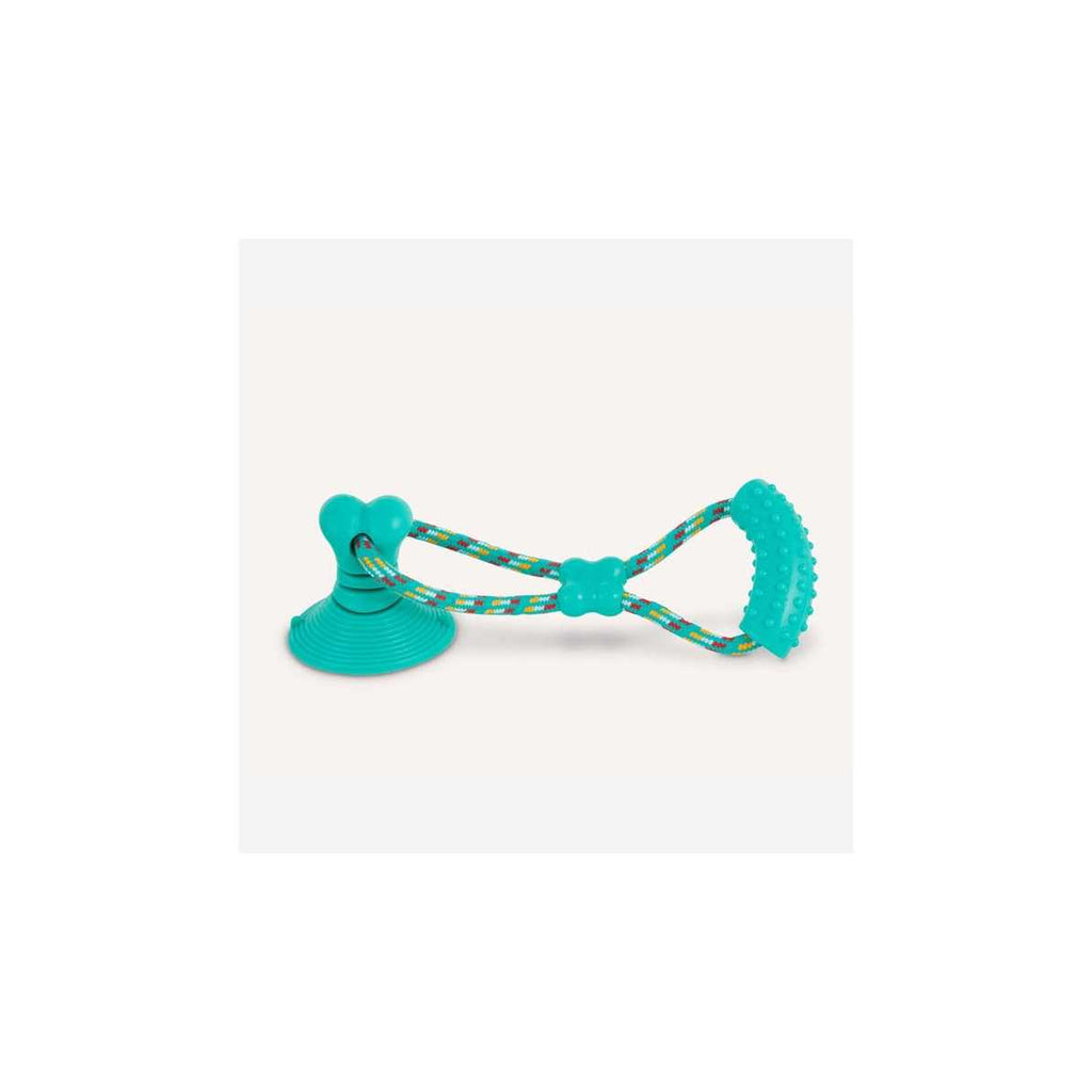 Suction Cup Tug Dog Toy G6874