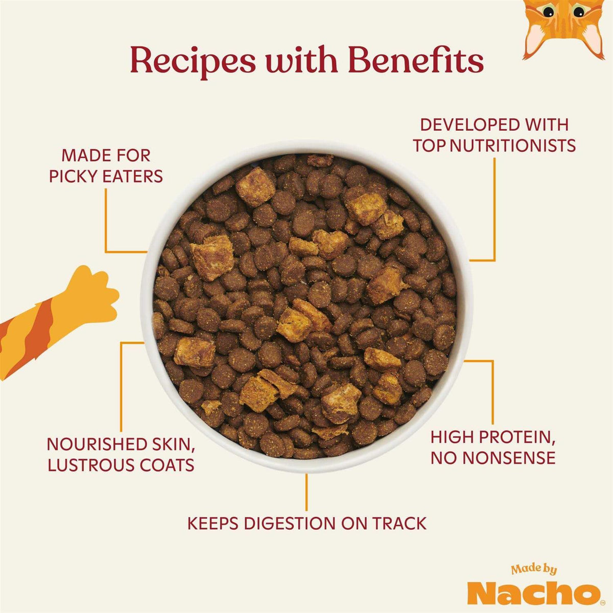 Dry Cat Food with Freeze Dried Raw Kibble Y357