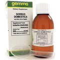 Sorbus domestica 125 ml A44399