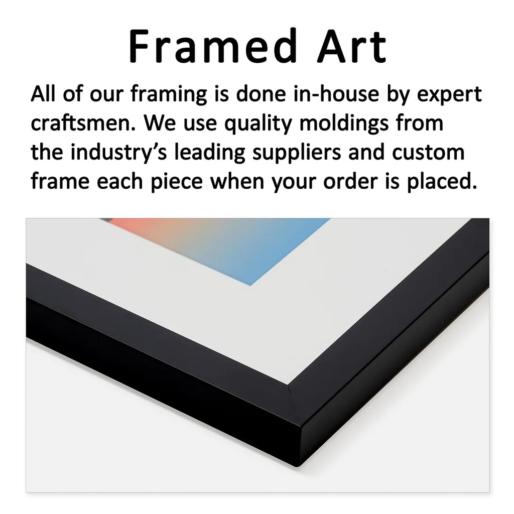 Framed Print X429