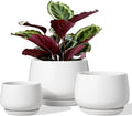 4.1+5.1+6.5 Inch Ceramic Plant Pots with Drainage Hole and Saucer, Set of 3, White R9911