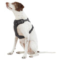 Reflective Dog Harness R461