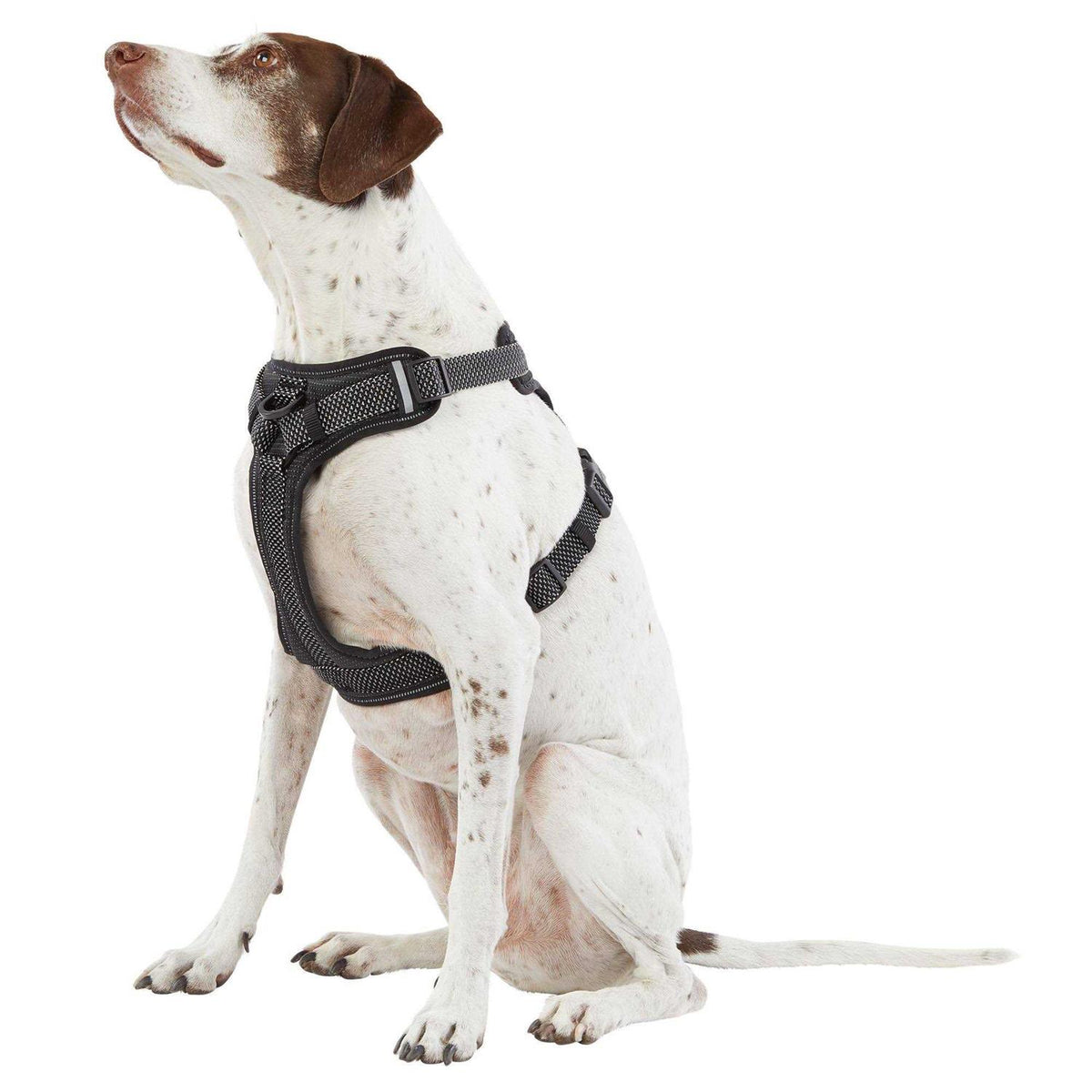 Reflective Dog Harness R461