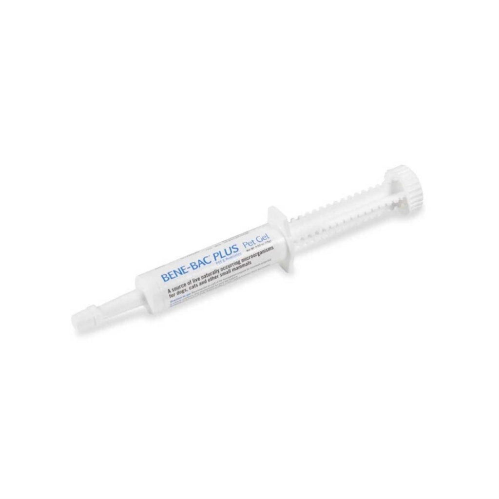 Pet Gel U498496