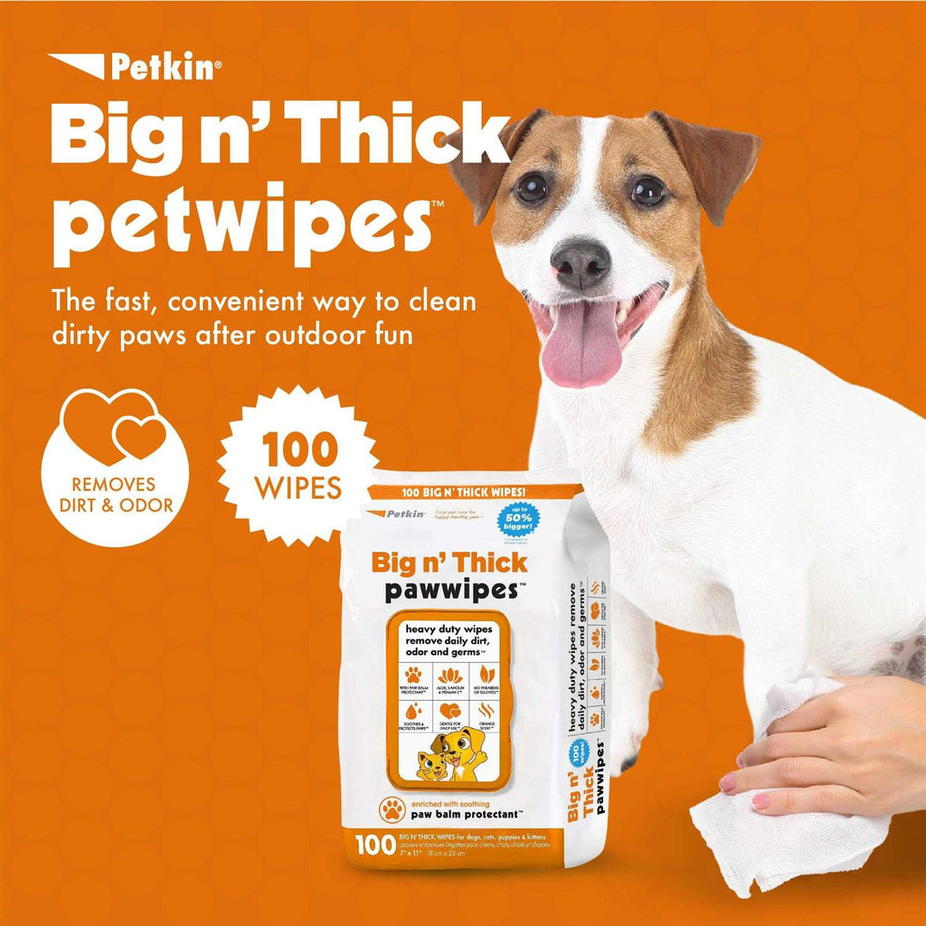 Pet Wipes 100 Z375
